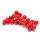 Rote Johannisbeere Rovada 40-60cm