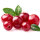 Cranberry Red Star® 10-15cm