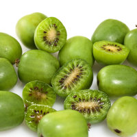 Mini-Kiwi selbstfruchtbar Issai 60-80cm