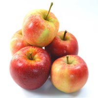Apfel Elstar Halbstamm