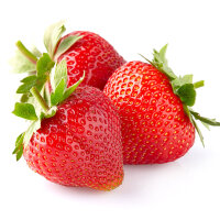Erdbeere Ostara - mehrmals tragend 20-30cm